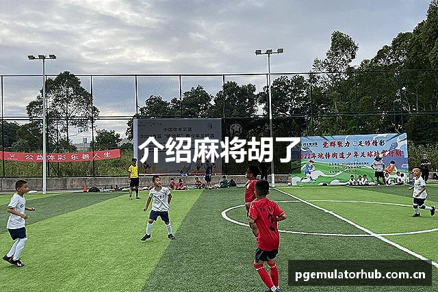 介绍麻将胡了